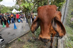 Kisah di sebalik Aidiladha, pengorbanan sukar dilupakan
