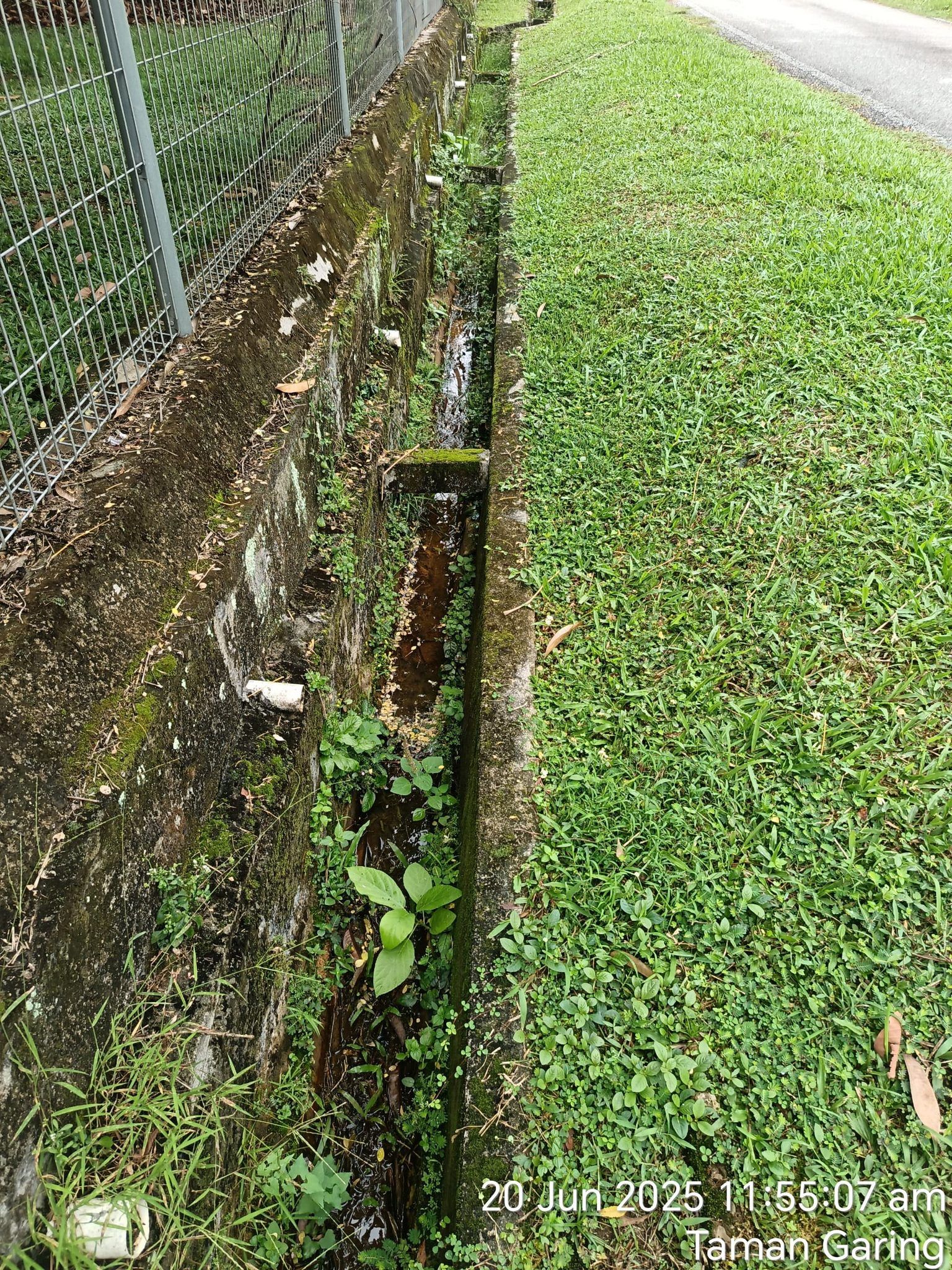 嘉岭花园排水沟阻塞及杂草丛生  蔡伟杰已向当局反映促速清理