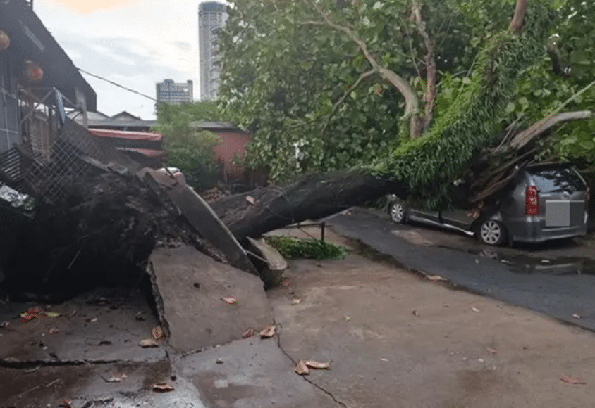 பினாங்கு மற்றும் கெடாவில் புயல்