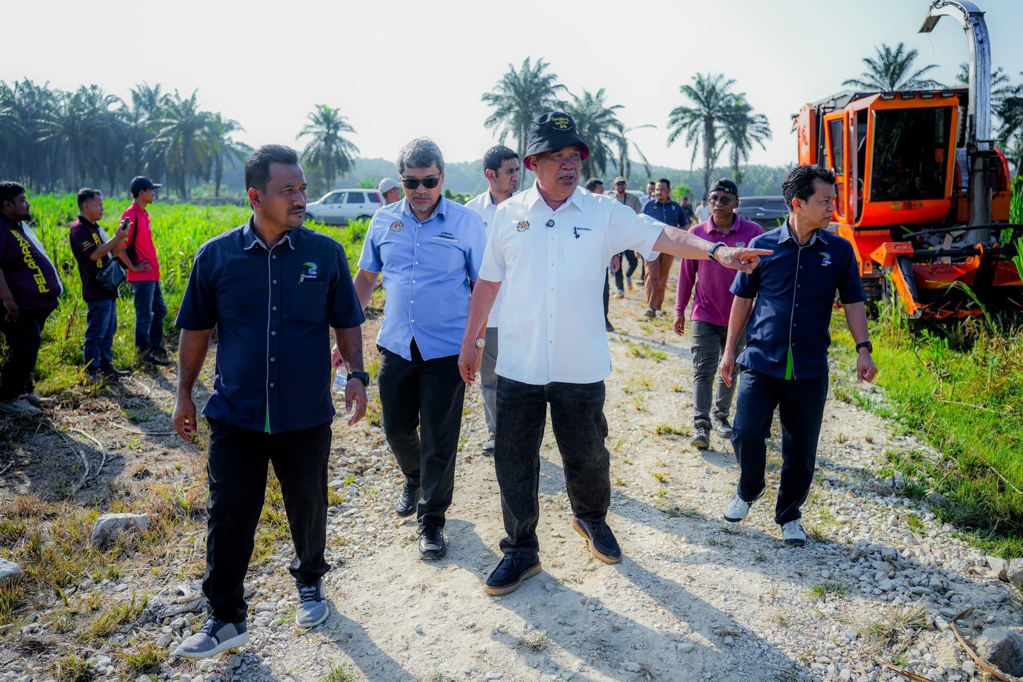 伊以冲突不影响大马供粮 沙布：60%稻作未受热害