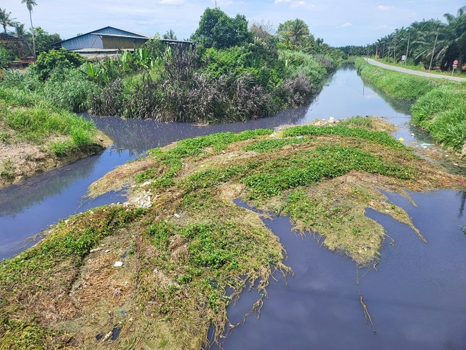 巴生加埔小河疑受污染变蓝   雪水务局取水质样本追查源头