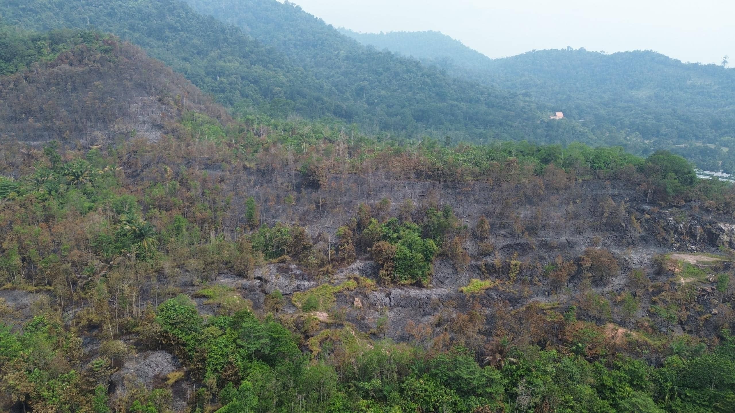 Kebakaran hutan 24 hektar di Kuala Kubu Bharu berjaya dipadam sepenuhnya
