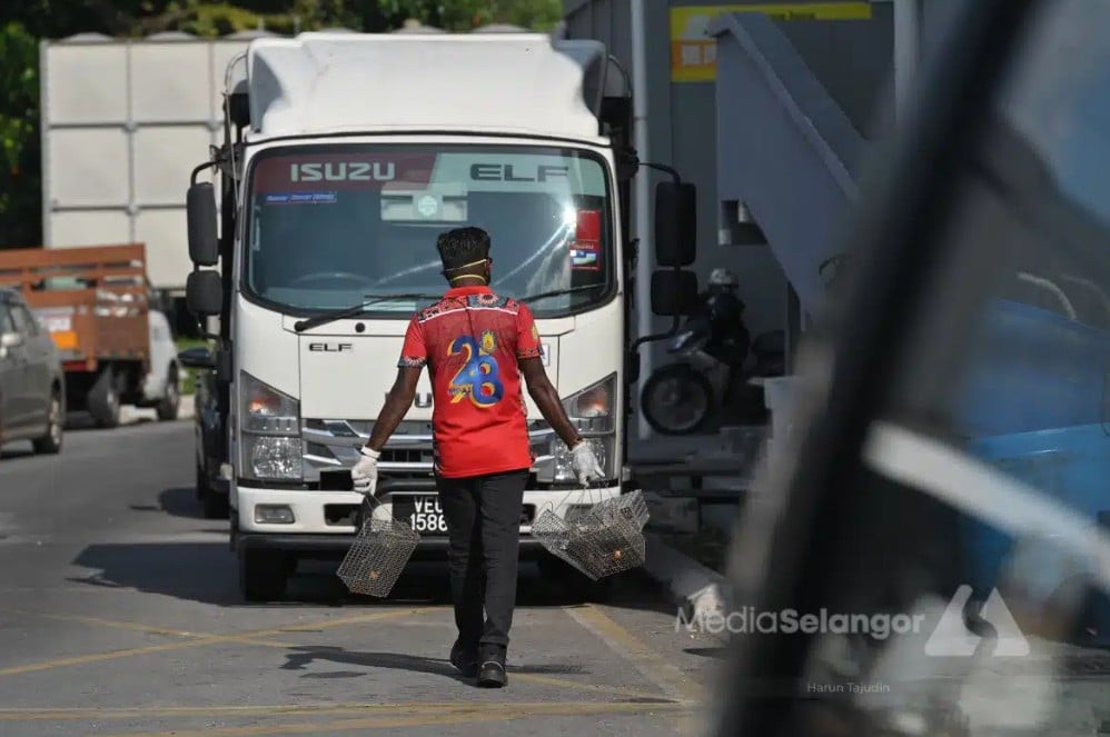 扩大执法力度管控公共区域鼠患  安邦市会将严惩违例业者