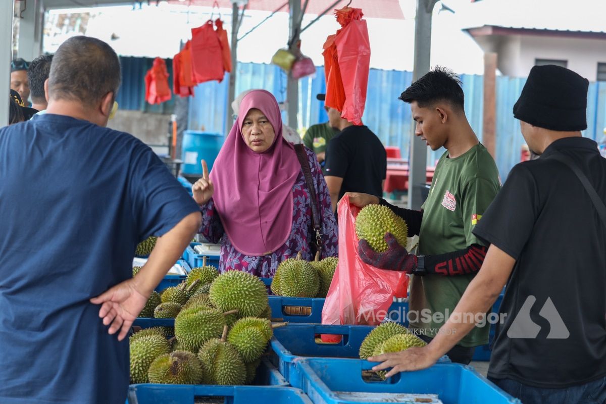 Durian tetap laris, tiada lambakan dan harga kekal berpatutan