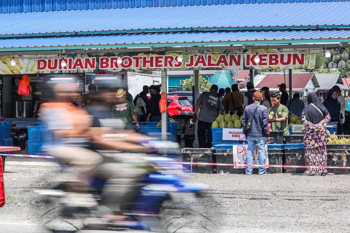 Jalan Kebun meriah bagaikan pesta durian, IOI dan D24 paling laris