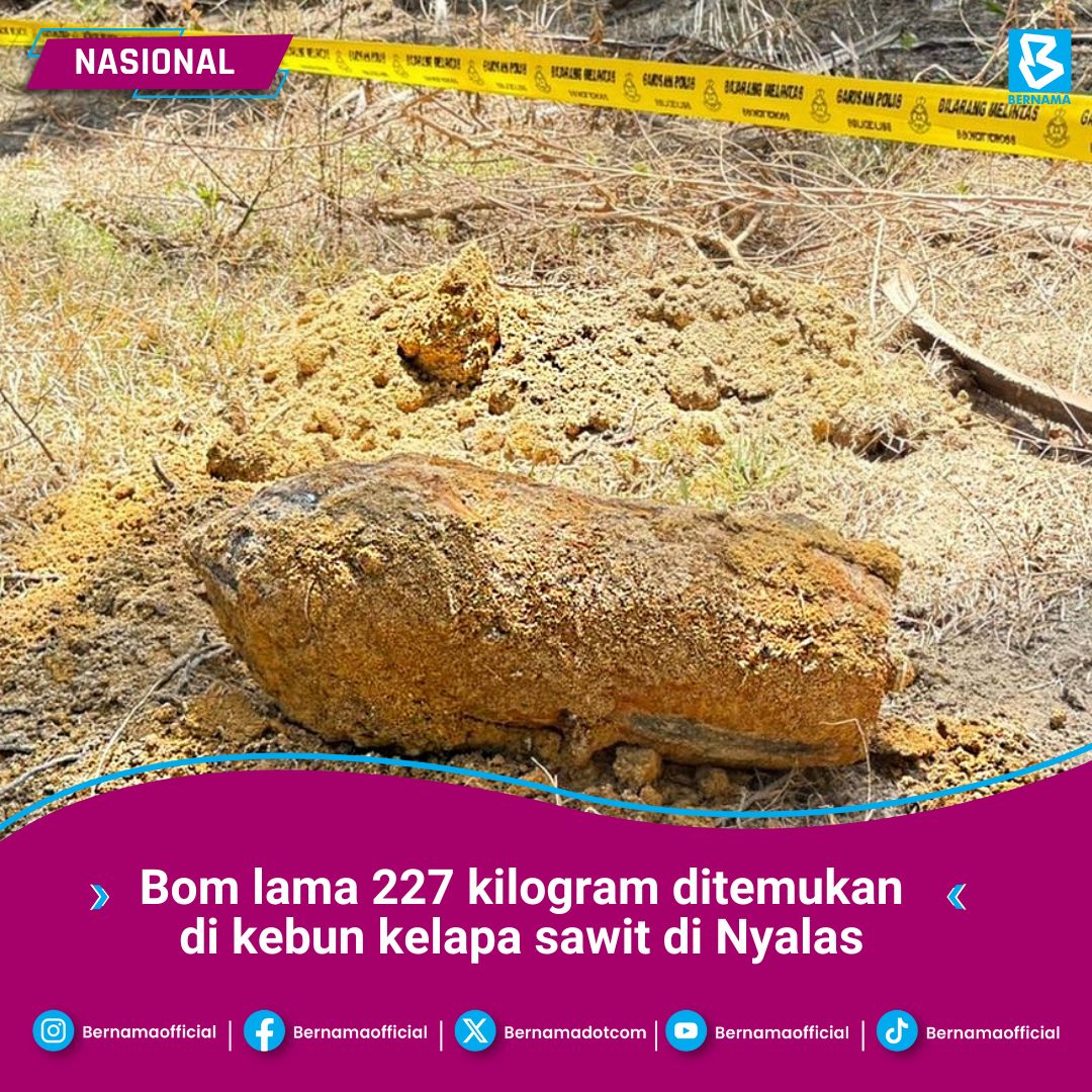 Bom lama 227 kilogram ditemukan di kebun kelapa sawit