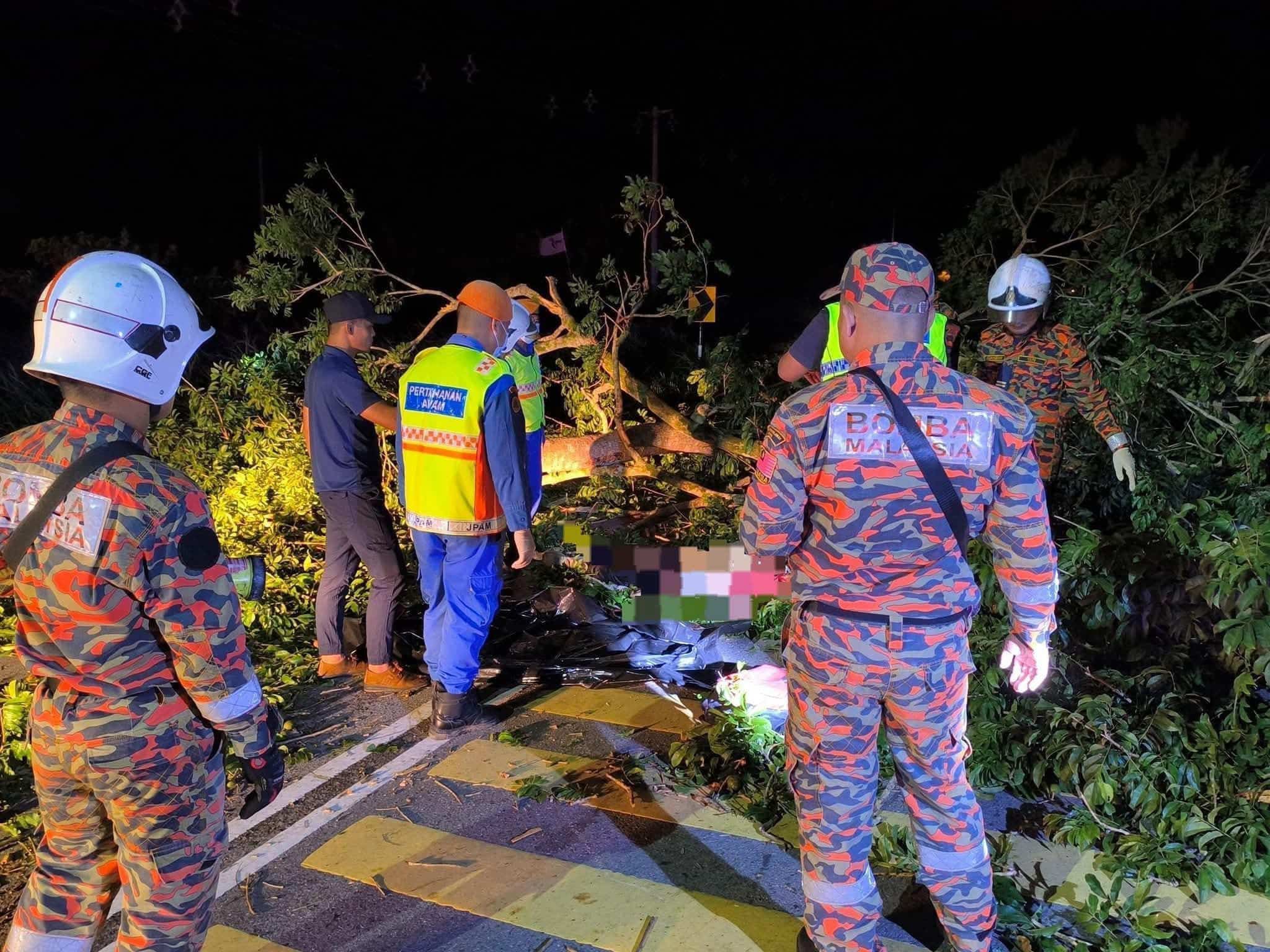 砂州两地连夜树倒 酿1死3伤