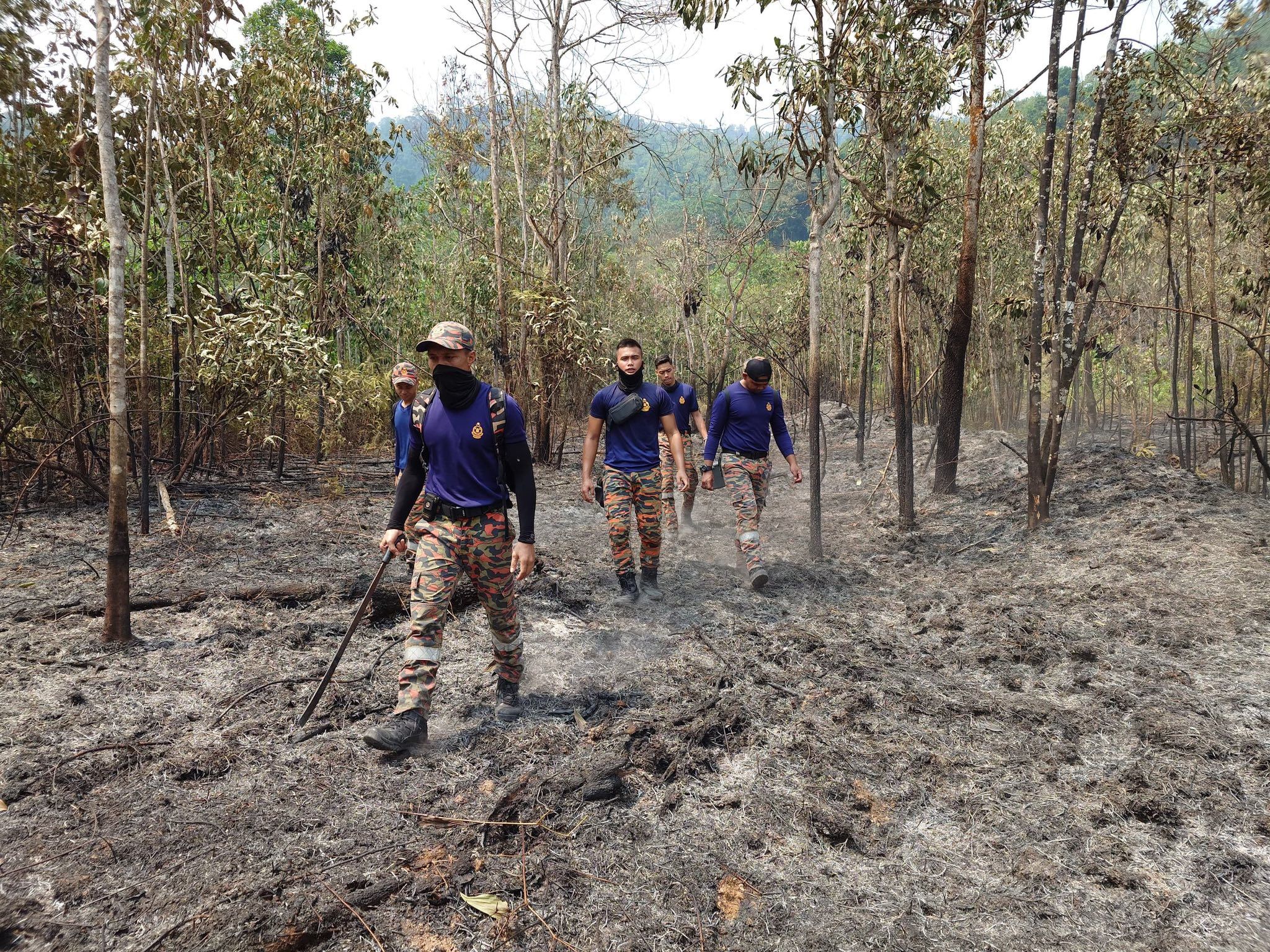 新古毛60英亩林火烧2天终扑灭  彭小桃向消拯员致敬意和谢意