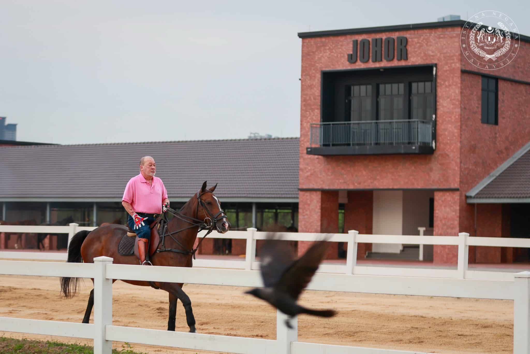 元首骑马步行实践健康生活