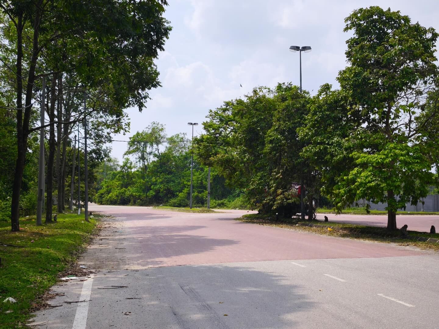 双溪邓卡斯设电眼加强监督   谢瑞詹：整治垃圾及焚烧问题