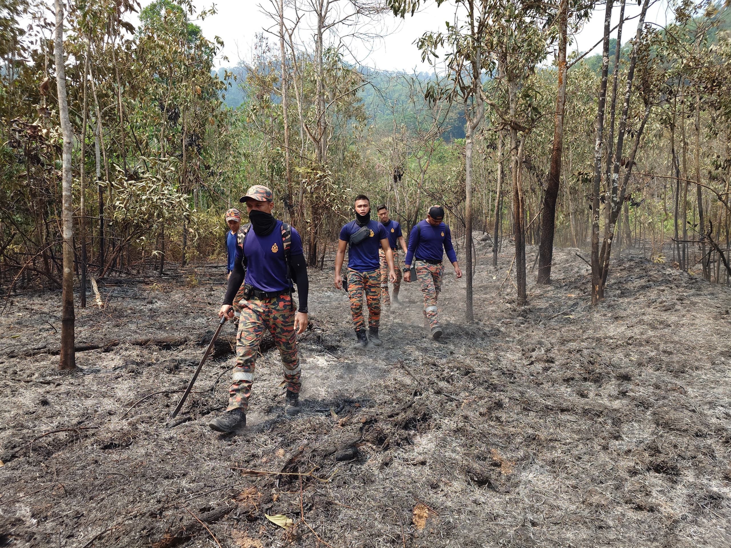 烧了将近两天！新古毛60英亩林火终扑灭