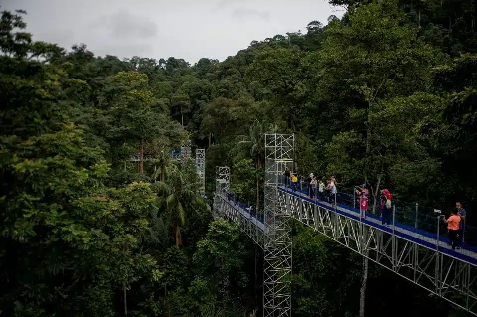 FRIM சிலாங்கூர் வனப் பூங்கா உலக பாரம்பரிய தளமாக அங்கீகரிக்கப்பட்டுள்ளது.