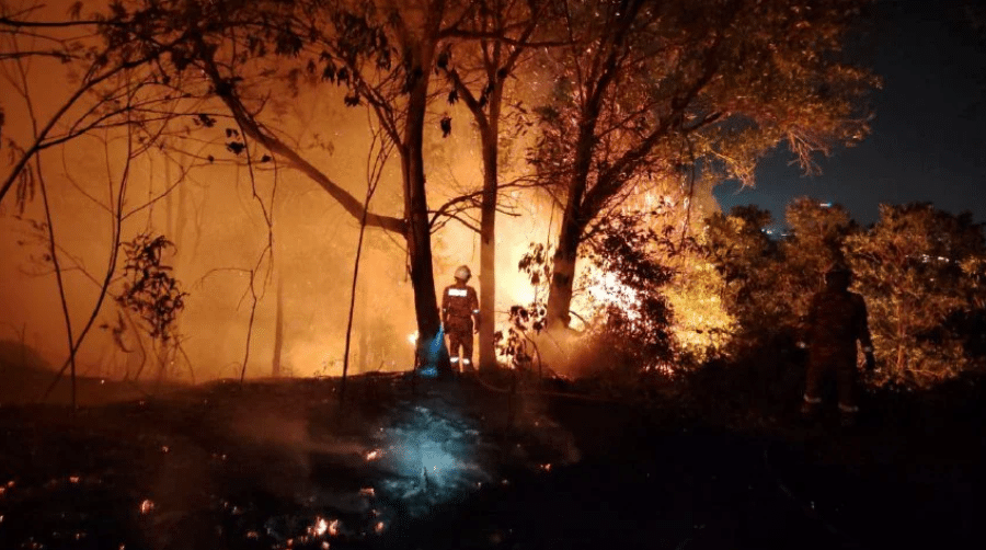 காட்டு தீ விபத்திற்கு மனித நடவடிக்கைகளே காரணம்