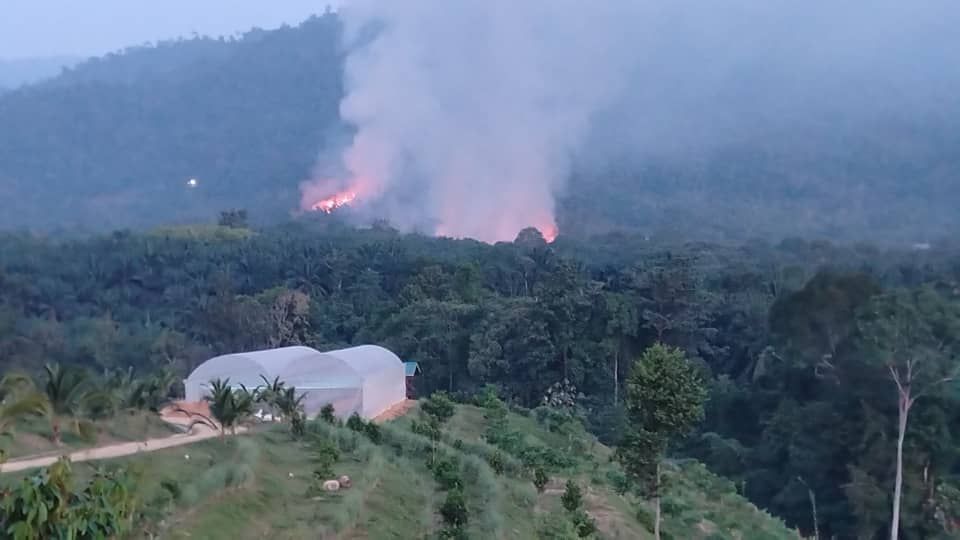 新古毛林火波及56英亩  消拯队出动空中洒水灭火