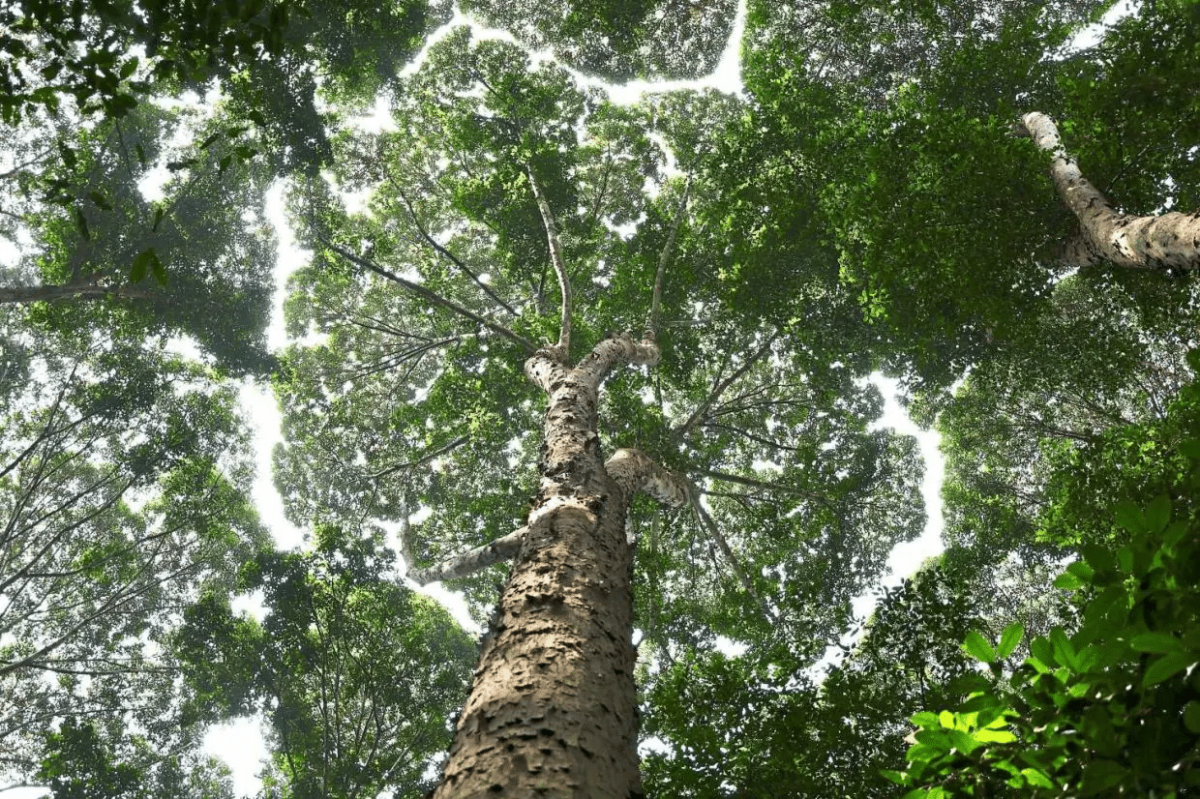 Selangor eyes more UNESCO recognition for its natural wonders