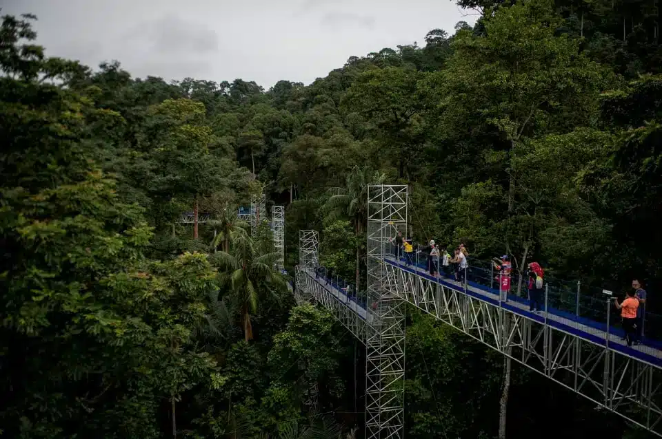State played crucial role in Selangor Forest Park’s world heritage recognition