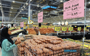 Ministry of Finance to help industries in SST transition period