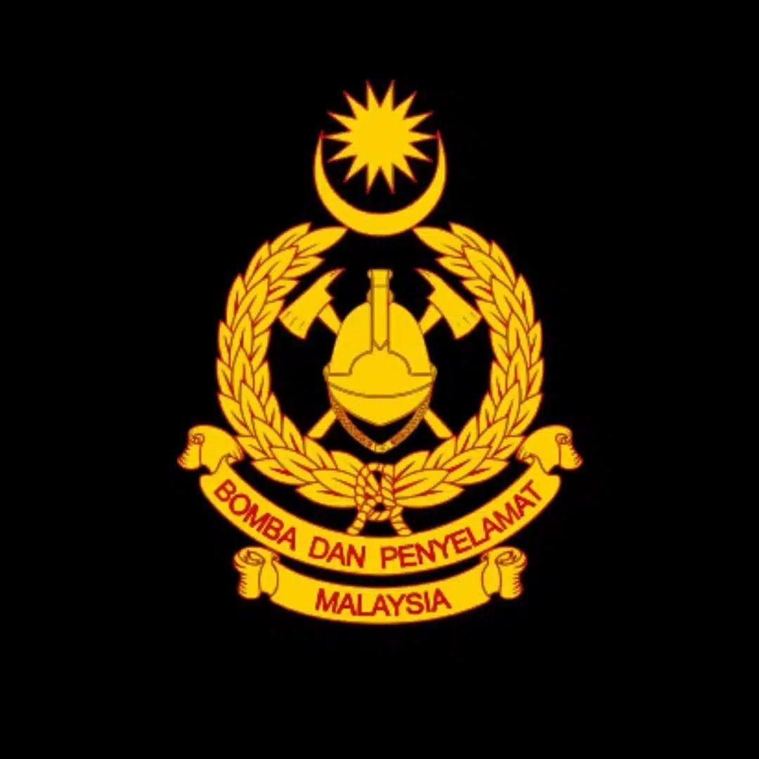 வேகமான நீரோட்டத்தில் சிக்கிய சிறார்கள் உள்ளிட்ட 12 பேரை தீயணைப்பு வீரர்கள் மீட்டனர்