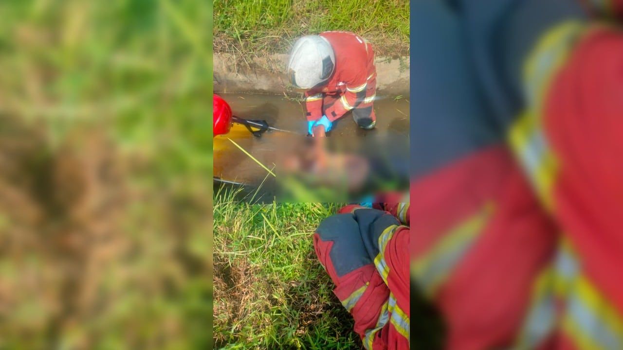 骑士连人带摩托坠沟身亡