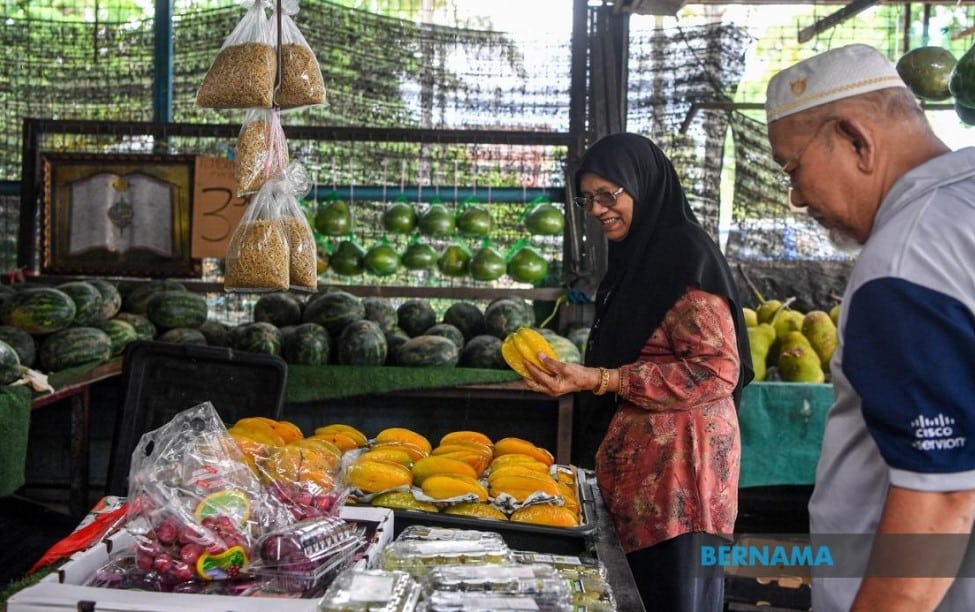 Malaysia hasil buah tempatan sepanjang tahun, Thailand, Jepun jadi rujukan