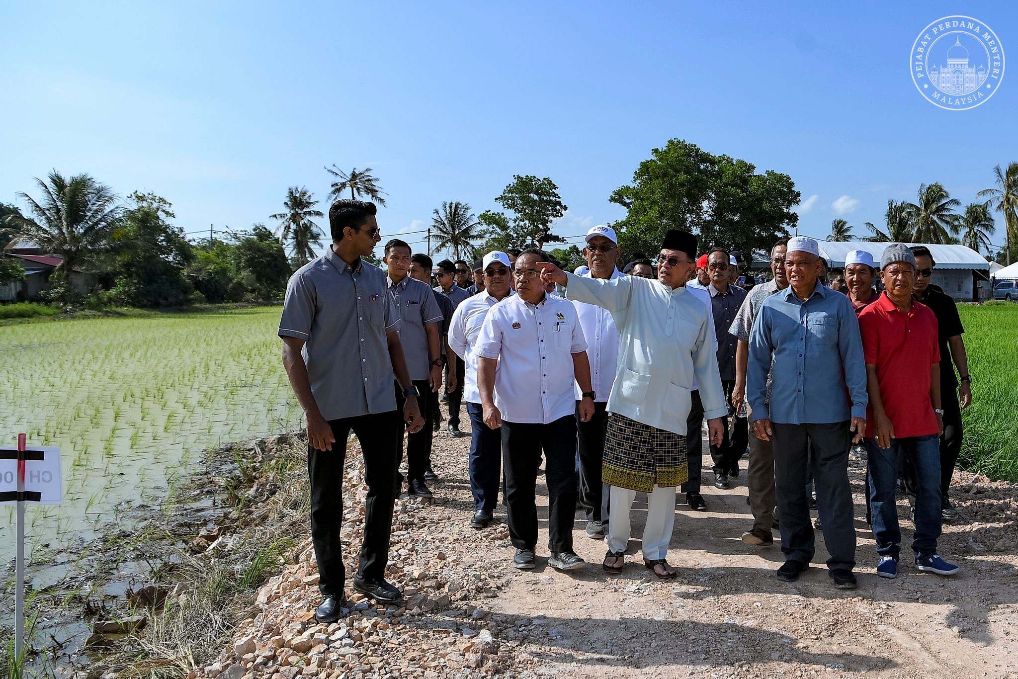 Penanaman lima musim dalam dua tahun bawa reformasi ekosistem padi, beras