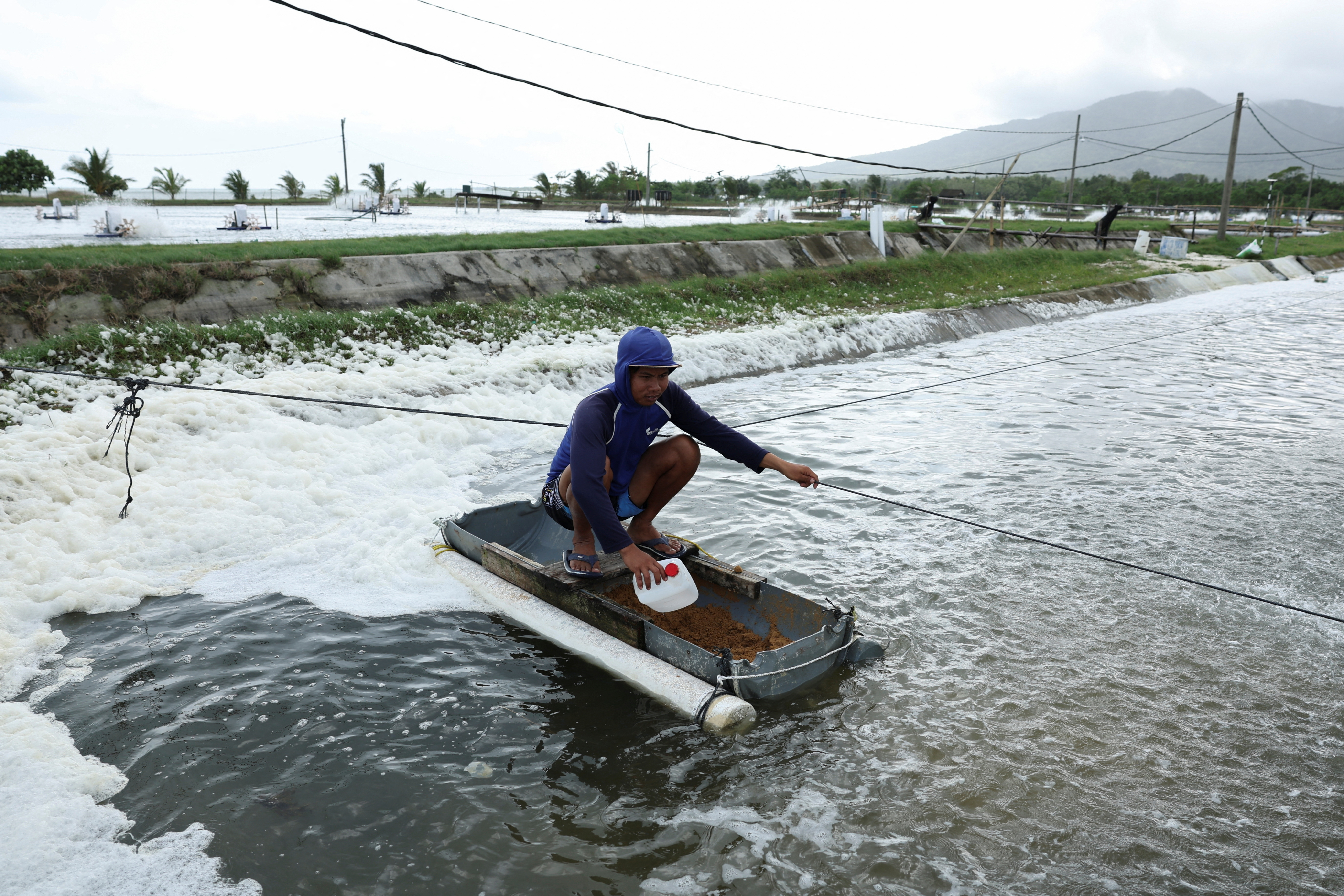 Hit by US tariffs, Indonesia plans to sell shrimp to China instead