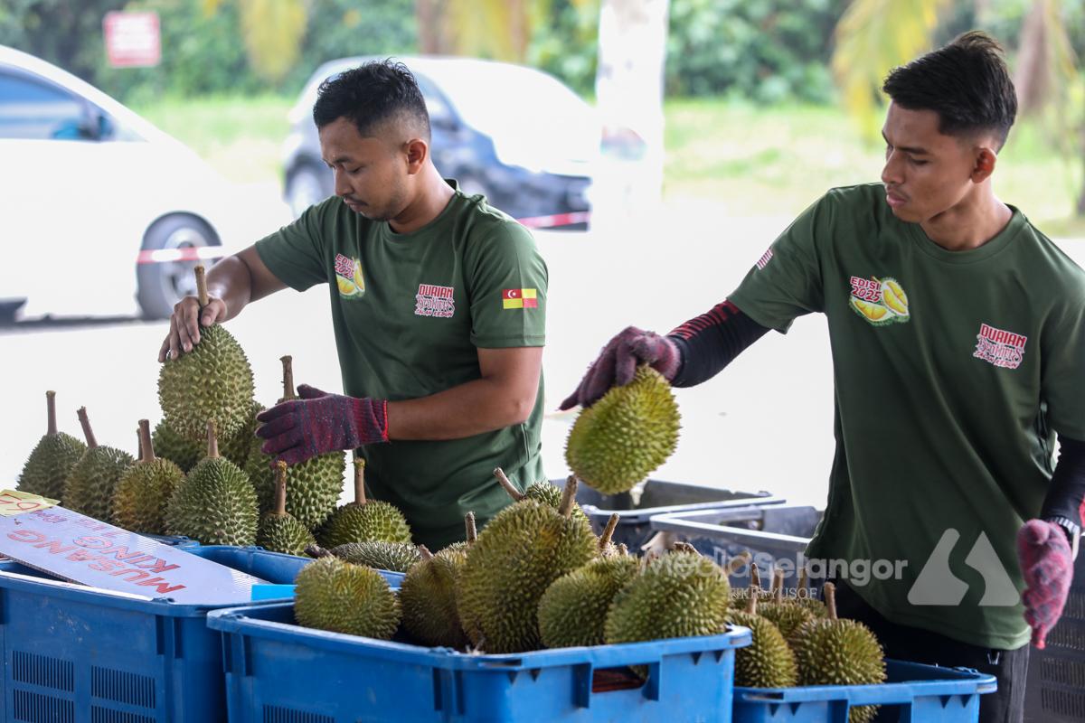 Durian dan strok: mitos atau realiti?