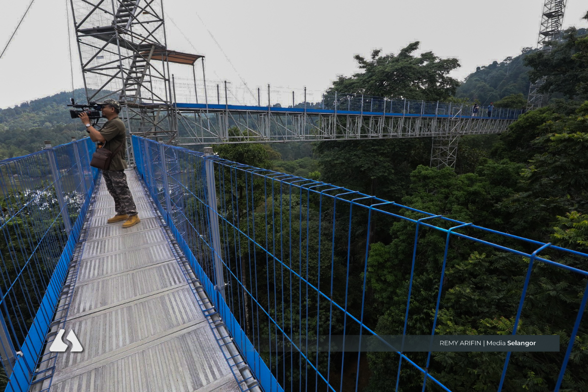 FRIM diiktiraf Unesco, bukti kejayaan pemulihan hutan tropika buatan