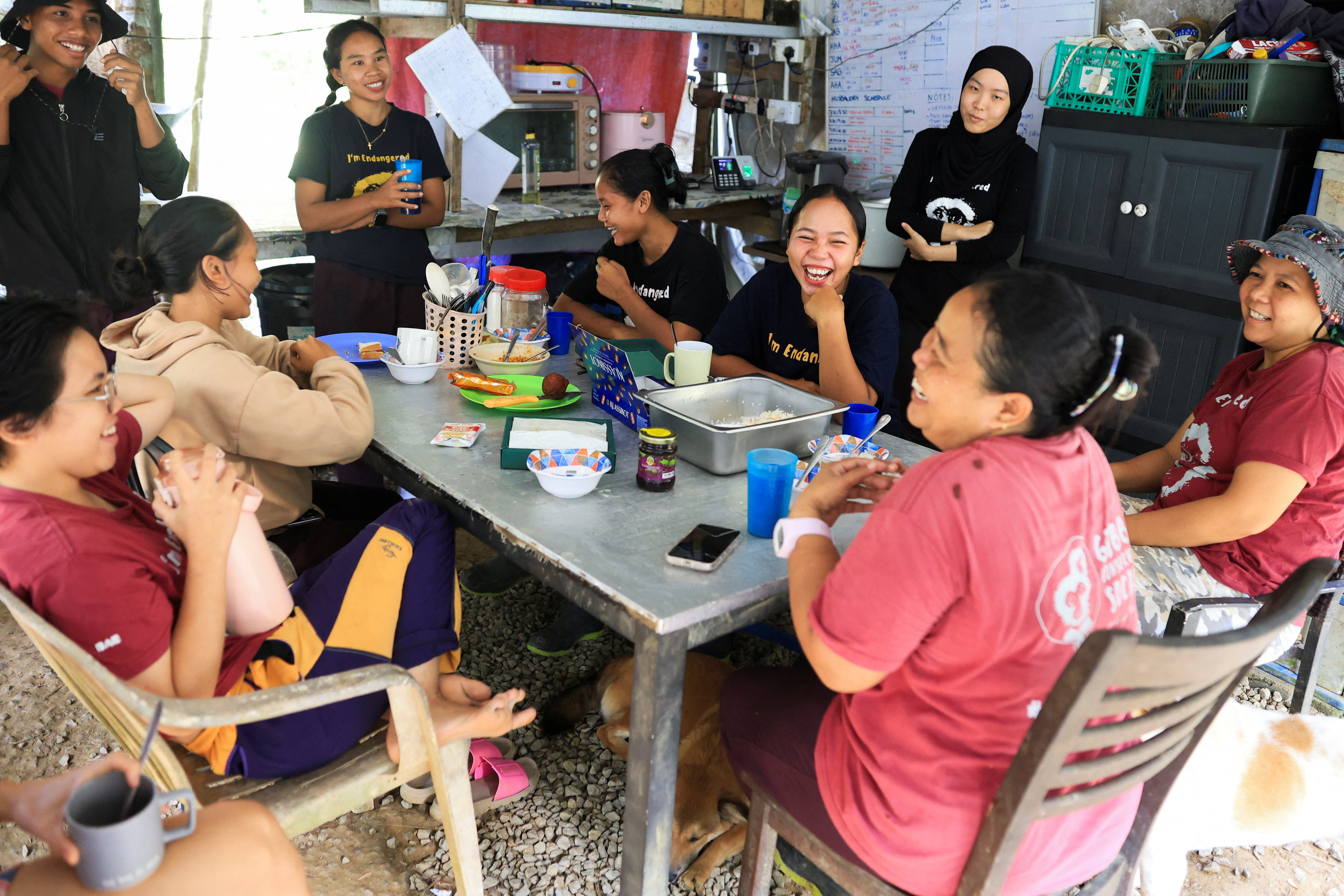 Orang Asli women defy tradition to protect endangered gibbons
