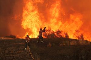 Wildfires fanned by heatwave, strong winds rage across Europe
