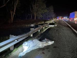 MPV疑失控打滑酿3死2伤 司机无照驾驶.路税逾期