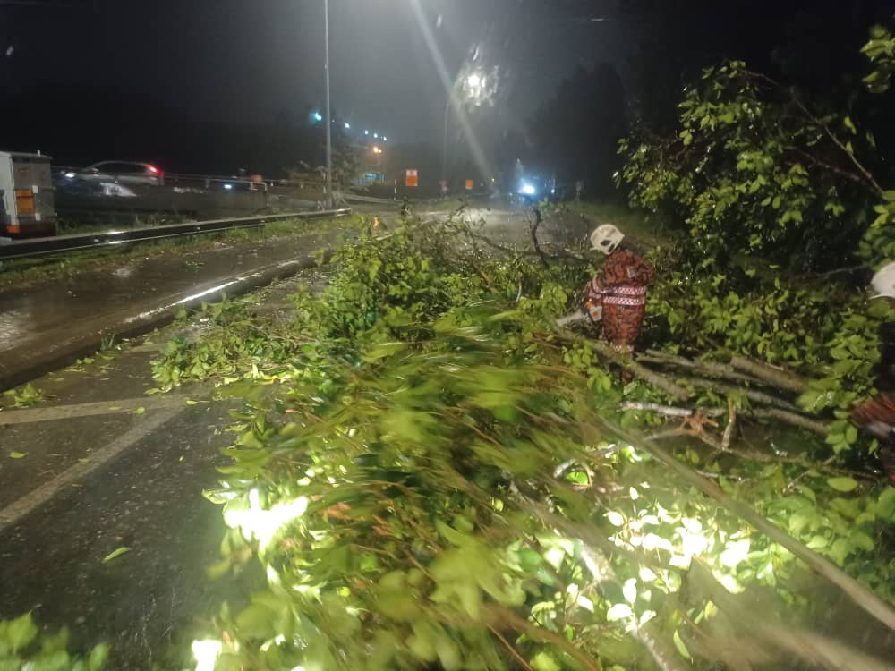 Pokok tumbang di Persiaran Hamzah Alang Meru akibat ribut