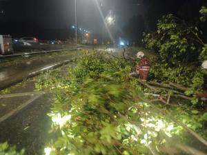 Pokok tumbang di Persiaran Hamzah Alang Meru akibat ribut