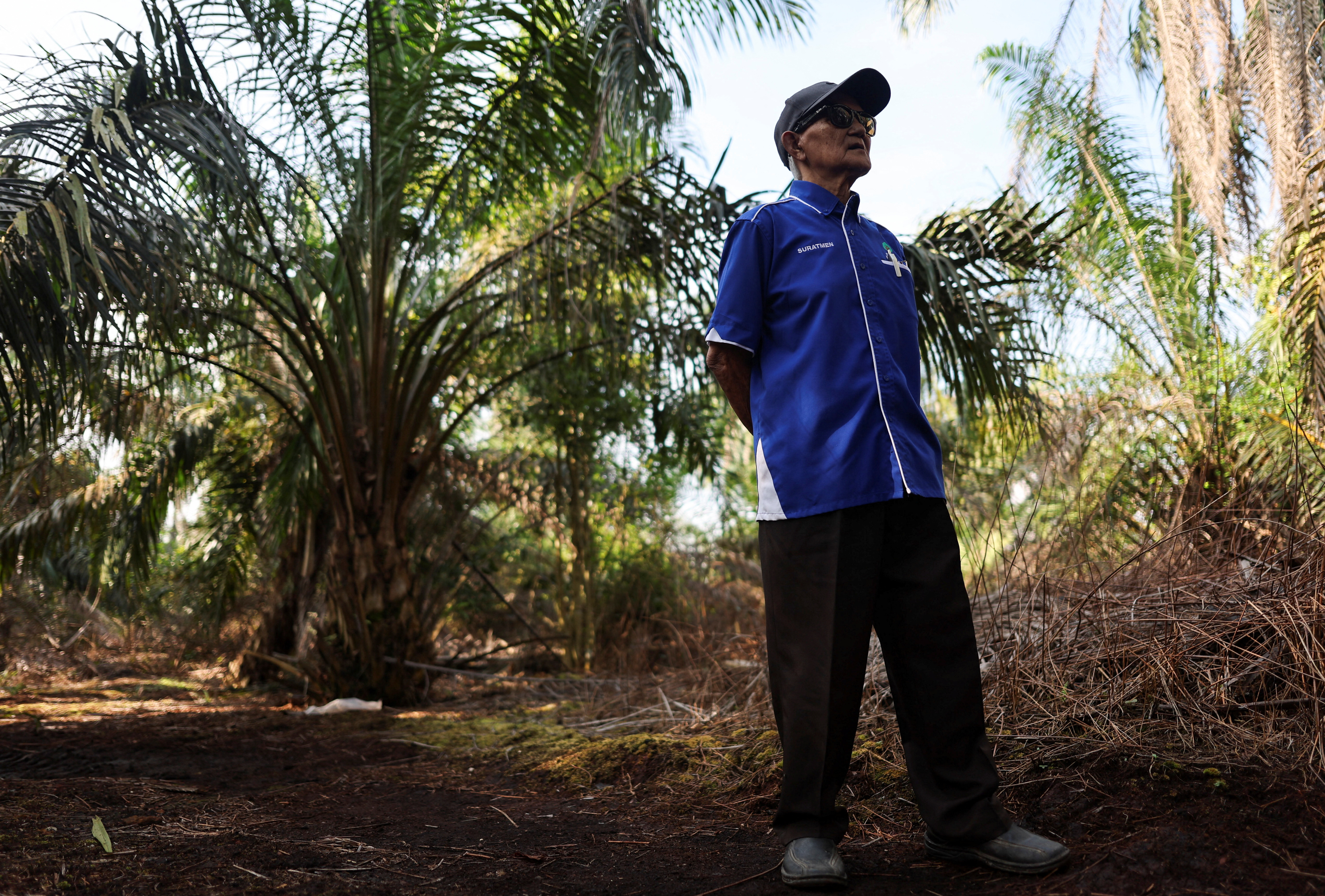 Old trees, ageing farmers worsen outlook for top palm oil exporters