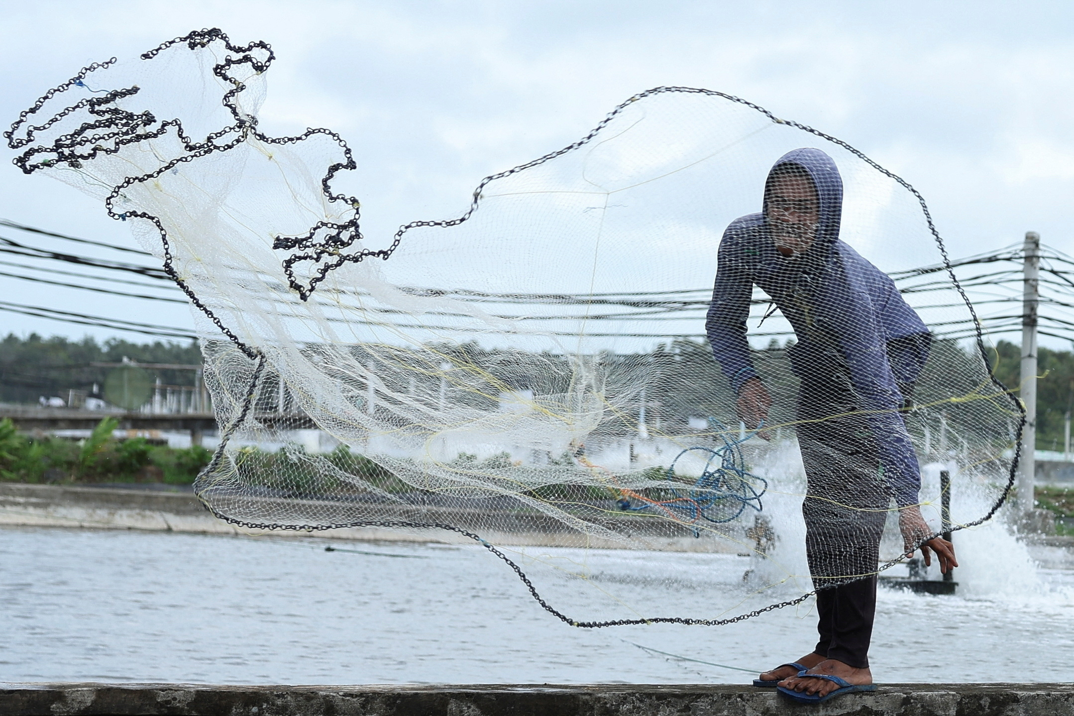 Hit by US tariffs, Indonesia plans to sell shrimp to China instead