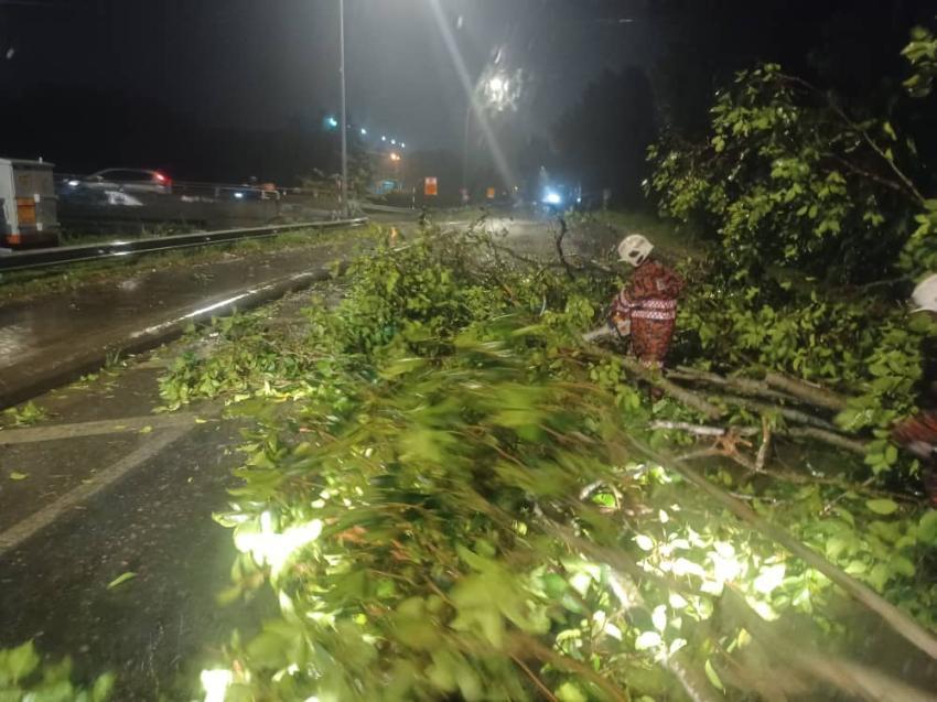 Lorry driver, child hurt by fallen trees in separate incidents