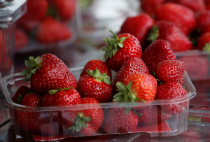 SST collection on imported fruits to bring in RM38m a year