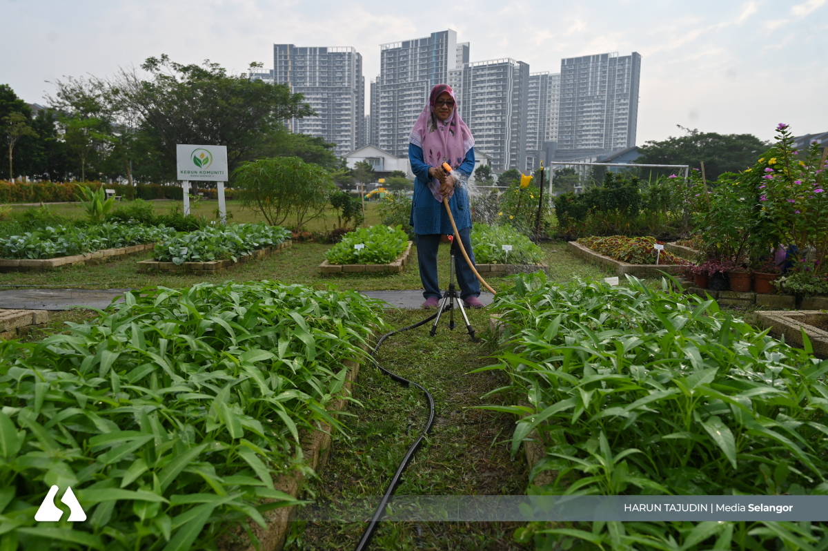 Kebun komuniti jadi ruang 'healing' di tengah kesibukan bandar