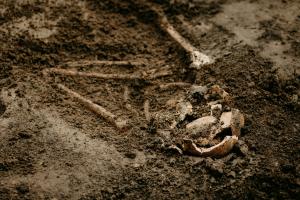 ‘Skeletal remains still hold crucial forensic clues’
