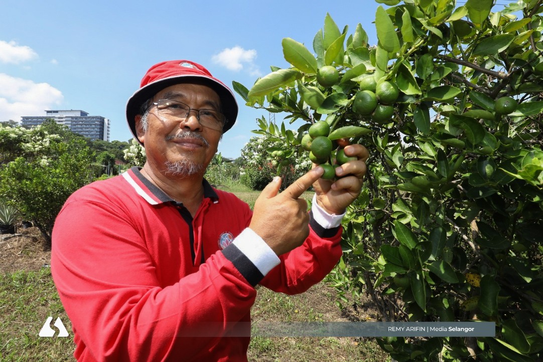 Pesona kebun komuniti Shah Alam