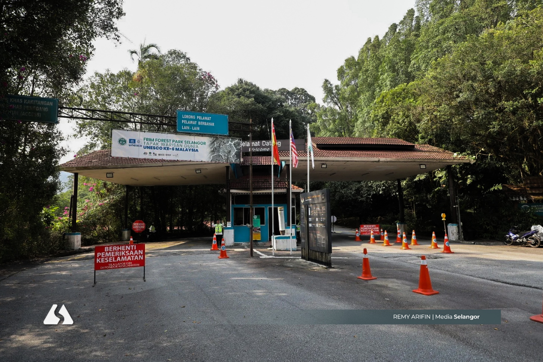 FRIM FPS diiktiraf hutan buatan warisan dunia  