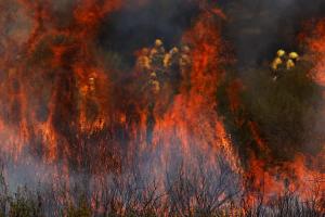 Spain arrests alleged arsonist linked to wildfire as second firefighter dies