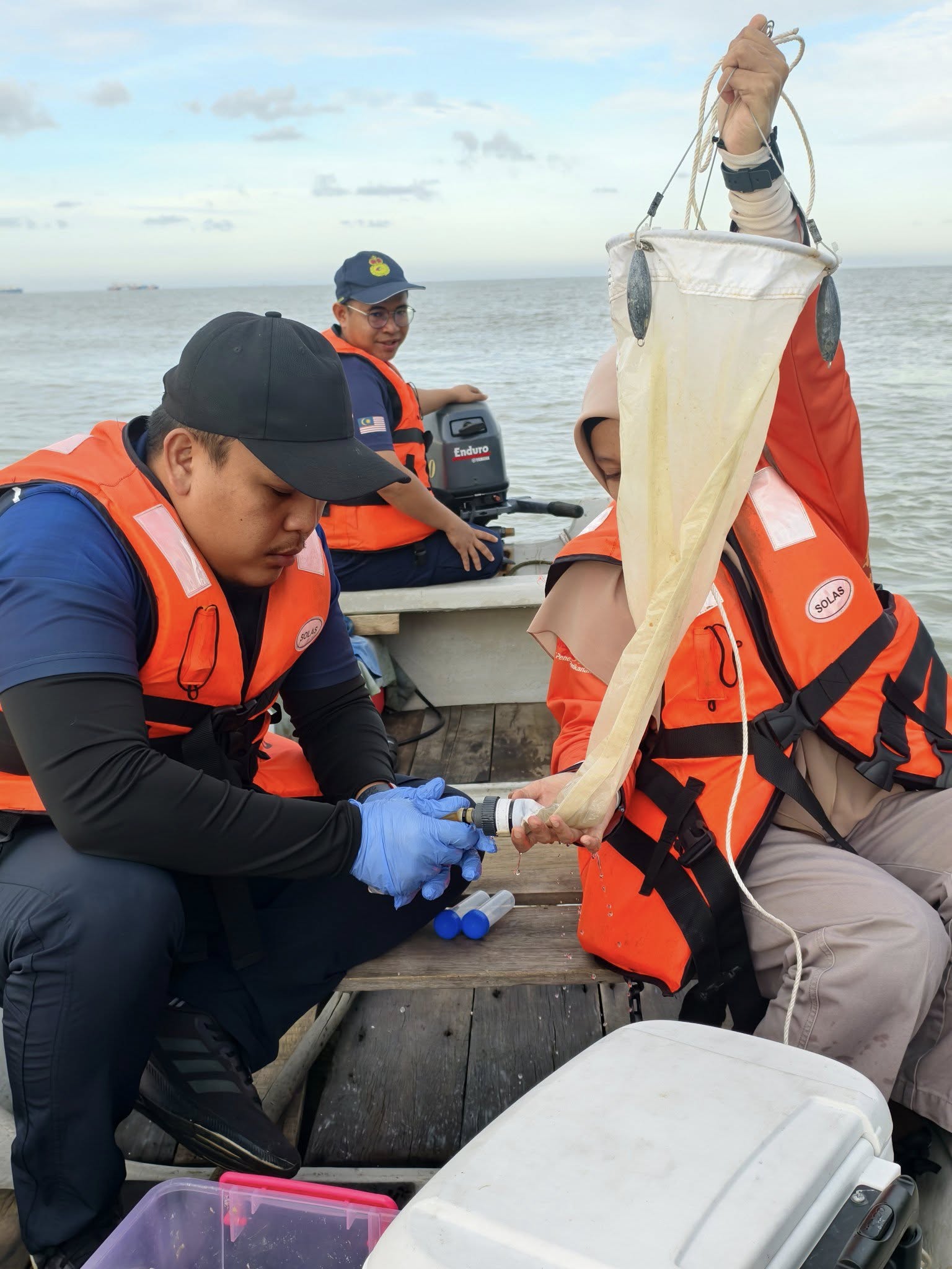 Kupang, kerang di perairan Port Dickson belum selamat dimakan - Jabatan Perikanan
