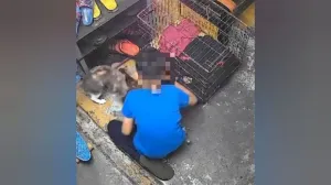 Kes dera haiwan perbuatan jenayah, pihak berkuasa digesa bertindak tegas