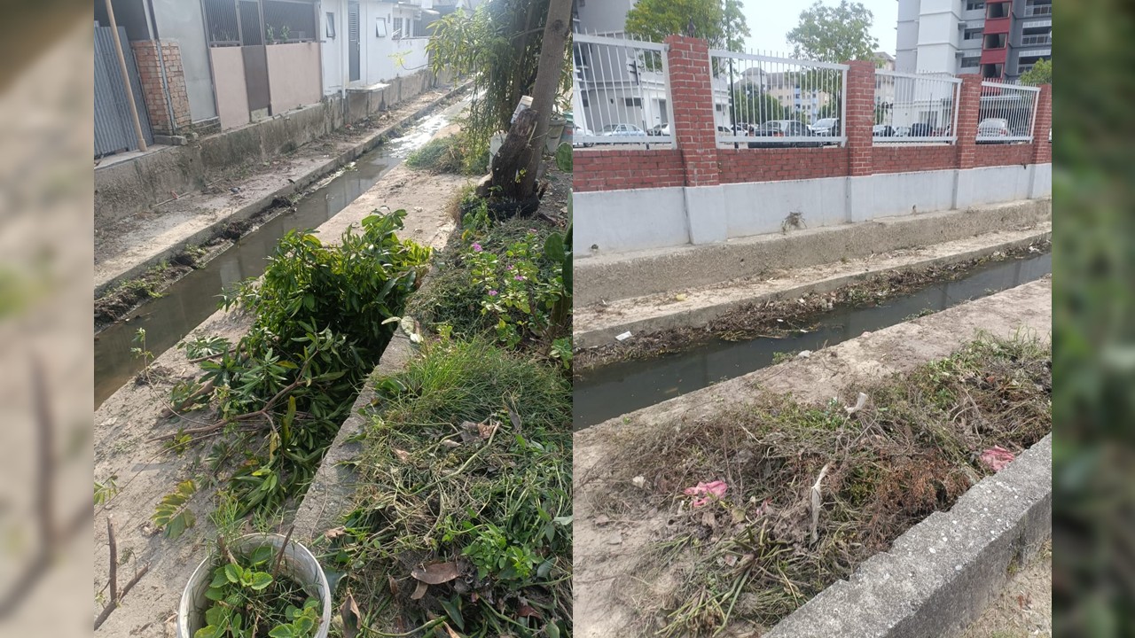 泥土杂草堆沟旁两周未清走 梁德志促市政厅监督承包商SOP