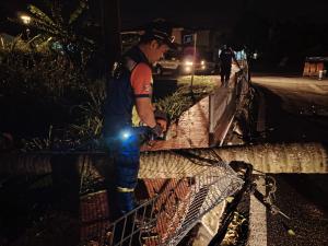 巴生狂风暴雨酿8地树倒  快速行动队火速出动清理