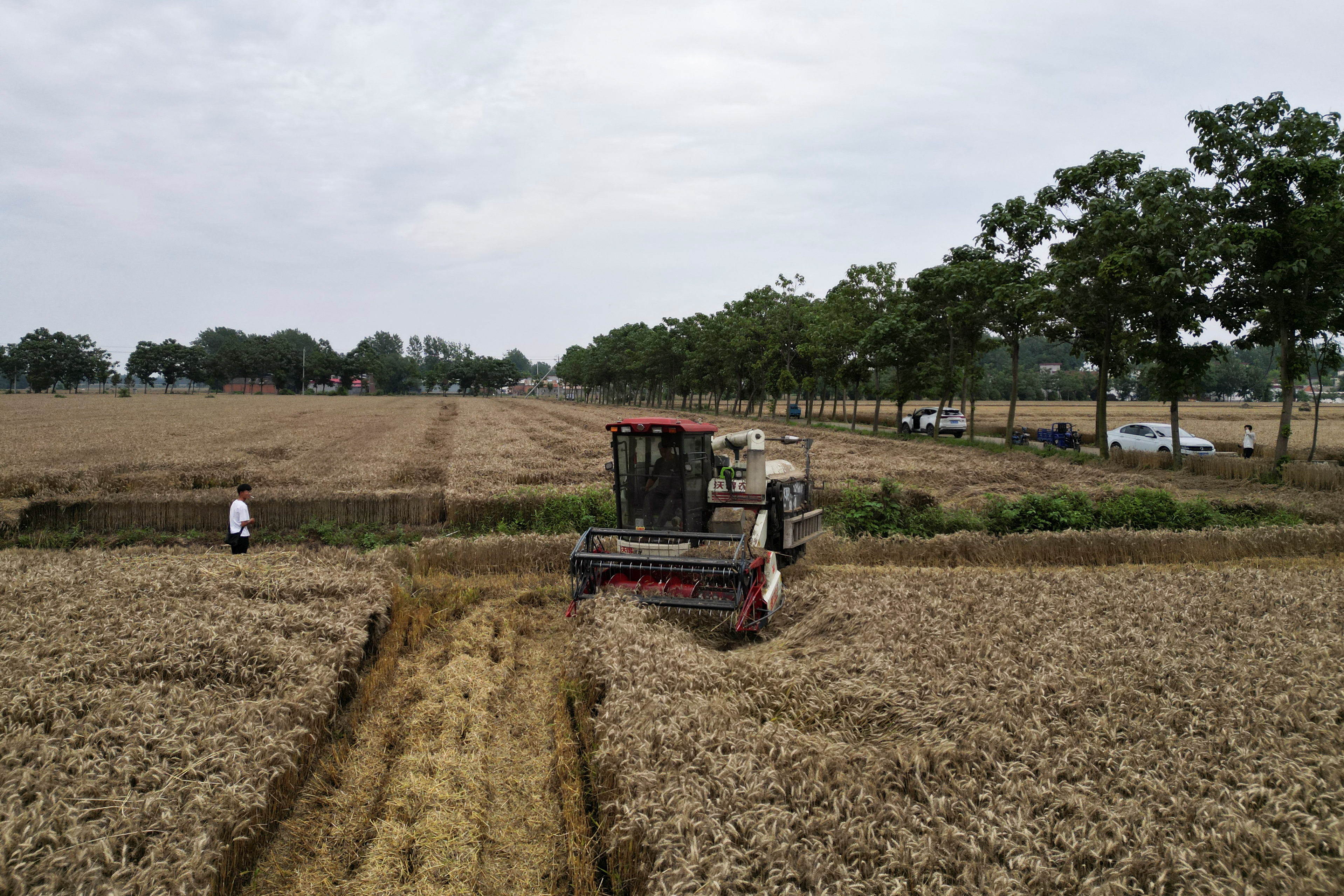 China allocates funds to support agriculture recovery in flood, drought-hit areas