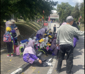 Guru, tiga murid tadika cedera bas langgar pokok di UPM