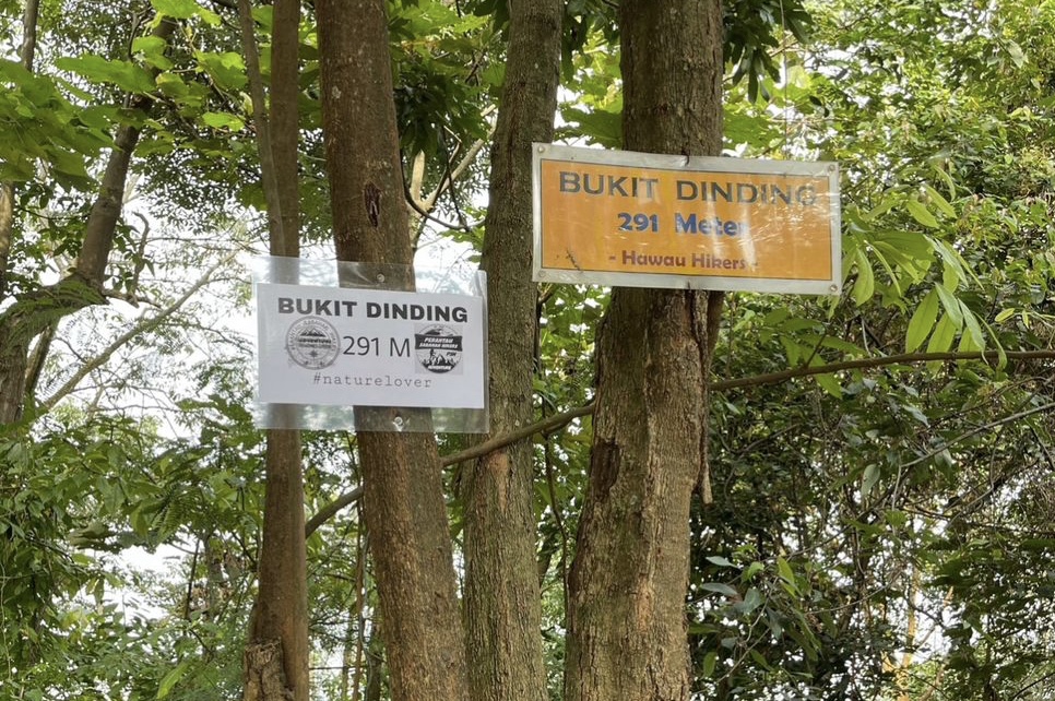 Govt moves to gazette Bukit Dinding, Pulai Trail as forest reserves