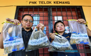 波德申海域贝类次样本 毒素含量超标禁食用